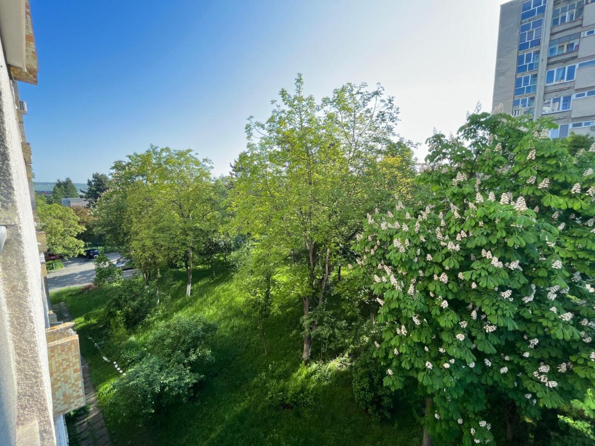 C & A Apartments Cluj-Napoca Eksteriør bilde